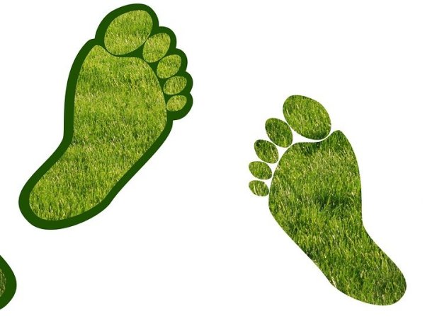 How I reduced my carbon footprint. Hint – it wasn’t&nbsp;easy.